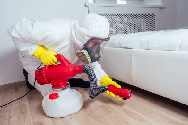 Professional Pest Control in Idalou, TX